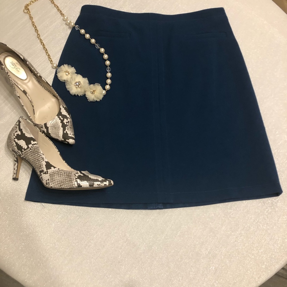 ANN TAYLOR Skirt